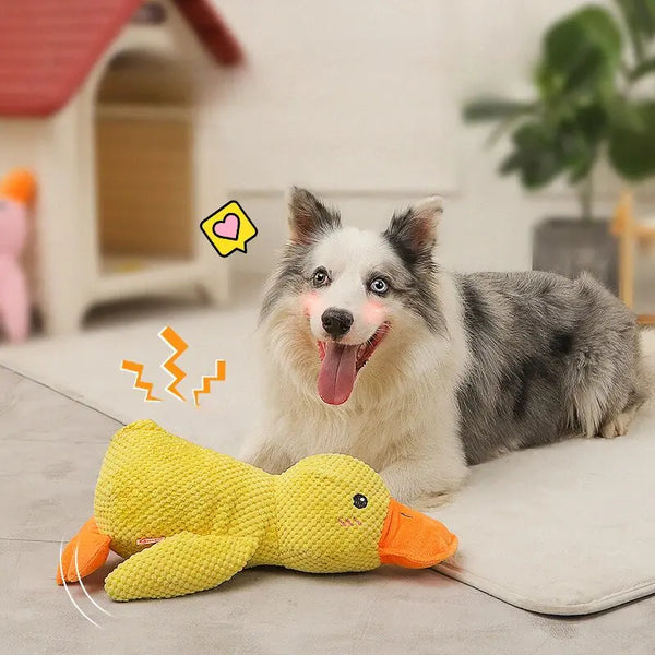 Tranquil Duck Buddy