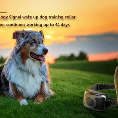650 YD Remote Dog Training Shock Collar Waterproof for Small Medium Large Dogs